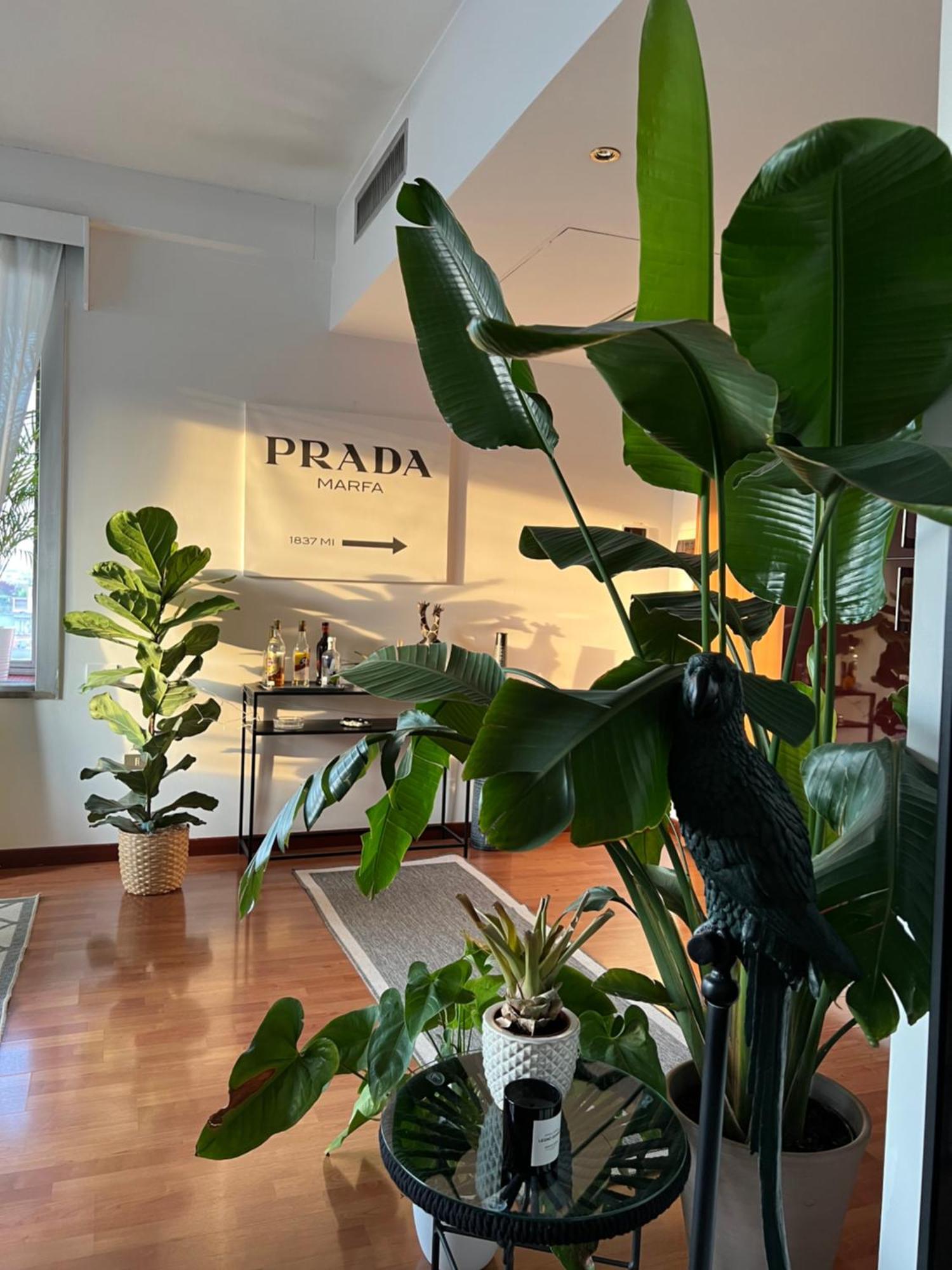 밀라노 Urban Jungle - Attico Vista Duomo 아파트 외부 사진